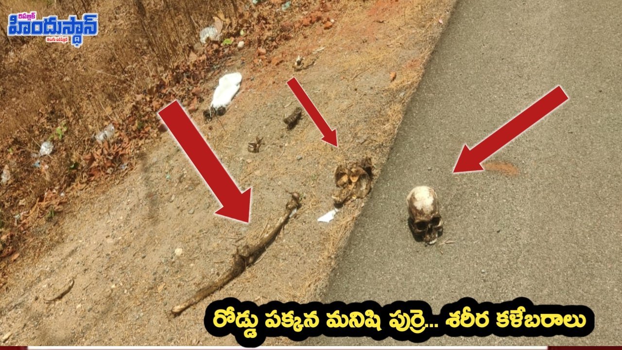 కలకలం రేపుతున్న మనిషి కళేబరాలు.. భయాందోళనలో ప్రజలు